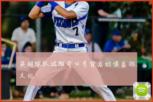 英超球队诺维奇口号背后的俱乐部文化