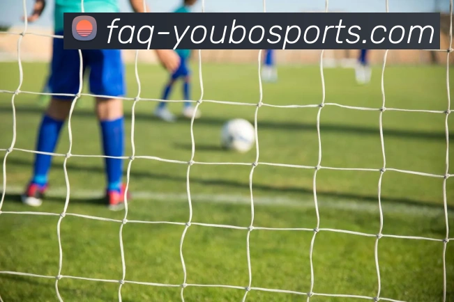 友博体育APP 高清赛事图